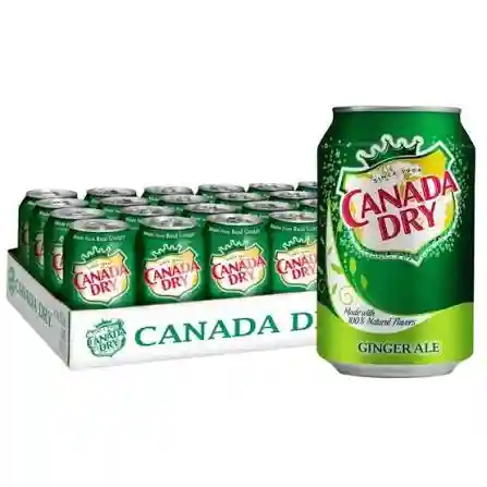 CANADA DRY GINGER ALE 4/6/10OZ (24U.)