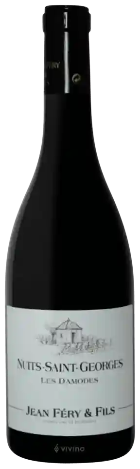 J.FERY NUITS-ST-GEORGES LES DAMODES 1993 75 CL